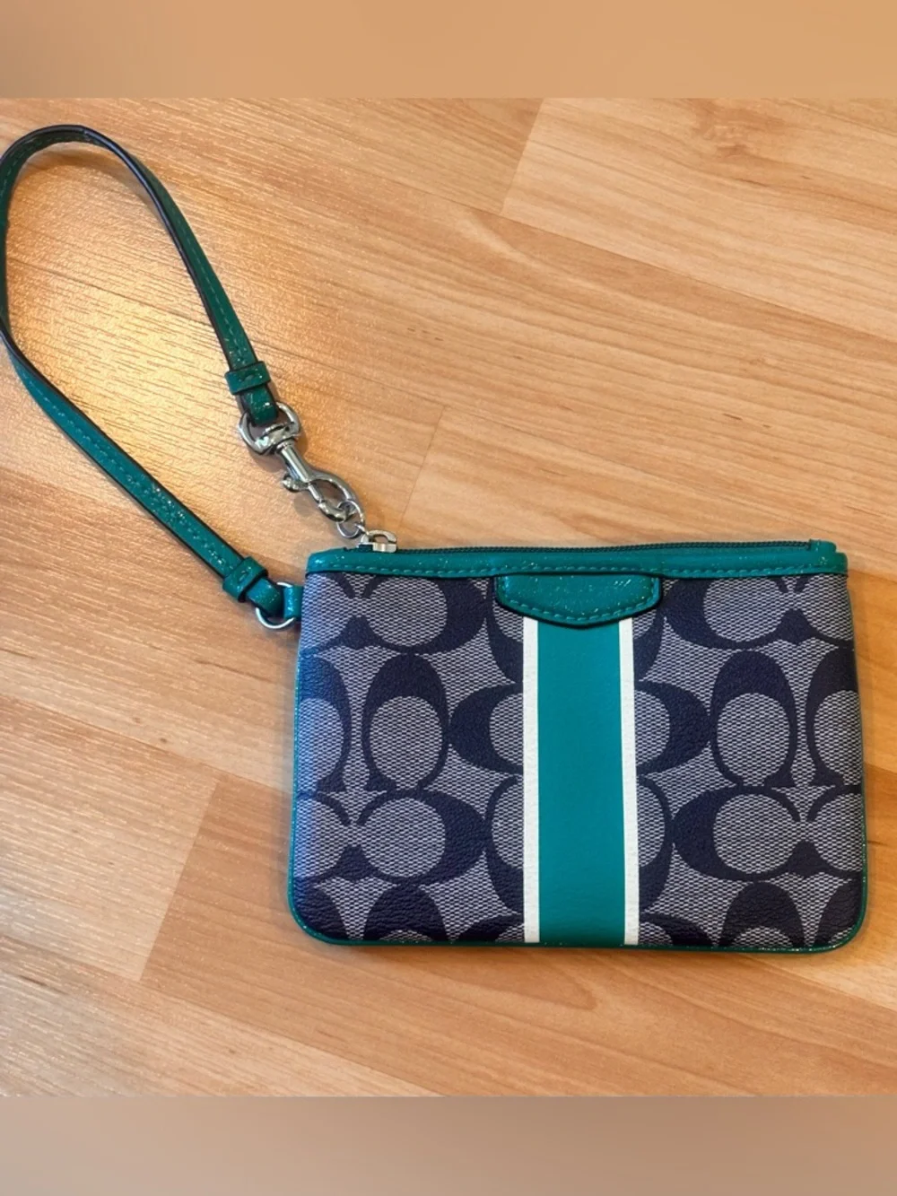 Coach Y2K  Wristlet in Teal and Navy